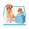 Affordable and Durable Puppy Potty Training Pet Pads with Super Absorbency