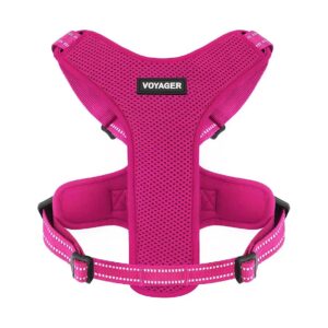 Air Frontier Mesh Dog Harness with Steel Leash D-Ring for Small to Large Breeds