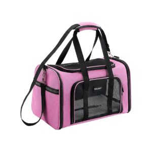 Airline Approved Pet Carrier for Small to Medium Dogs and Cats Under 15Lbs