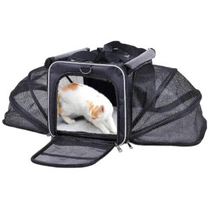 Airline Approved Portable Pet Carrier for Traveling Cats and Dogs