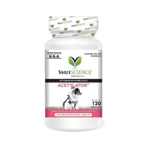 Alfalfa-Rich Gut Health Supplement with Digestive Enzymes for Pets