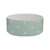 All Breed Size Dog Bowl with Classic Polka Dot Design and Sage Green Finish