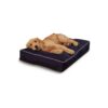 All Breed Size Small Dog Bed with Reversible Design and Plush Support 36x24 Inches