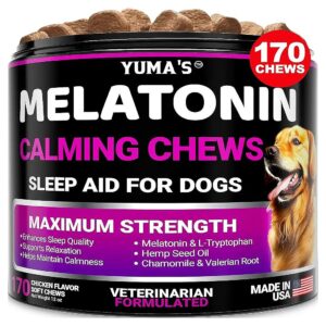 All-Dog-Sizes-Friendly Melatonin Chews for Stress, Anxiety, and Sleep