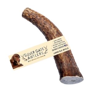 All Natural Elk Antler Dog Chews for a Long Lasting Chew Toy