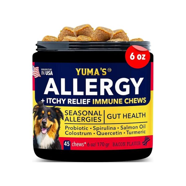 All-Natural Itch Relief Treats for Dogs with Skin Allergies and Hot Spots