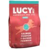 All-Natural Salmon Pumpkin Quinoa Dry Dog Food for Skin and Coat Health