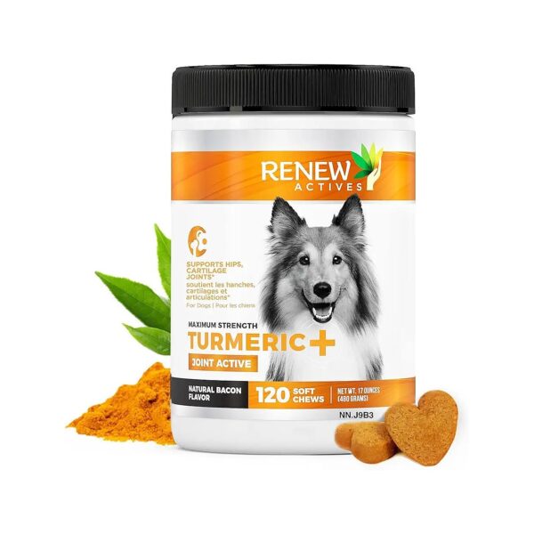 All-Natural Turmeric Joint Formula with Soft Chewable Treats for Dogs