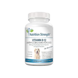 All-Natural Vitamin B12 for Dogs with Folate and Calcium Supports Immune System Function