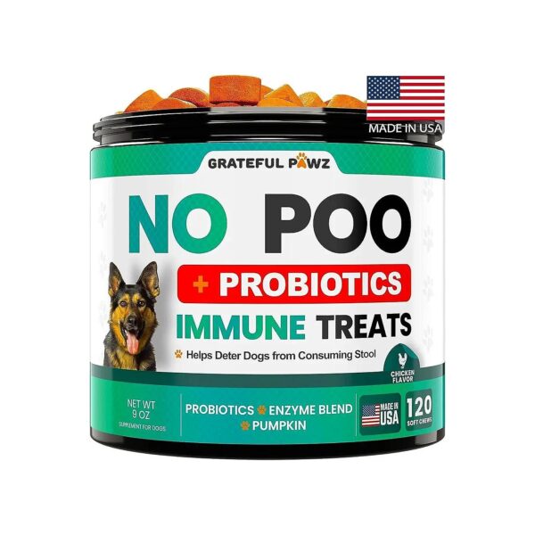 All-Natural Ways to Help Dogs Stop Eating Poop and Supplement Digestive Needs