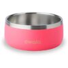 All Pet Food and Water Bowl with Durable Stainless Steel and Non-Slip Base