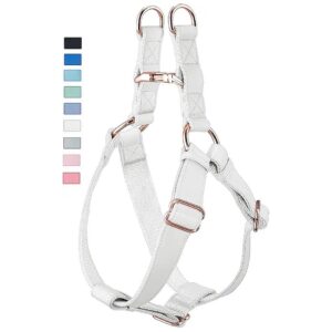 All-Round Adjustable Dog Harness with Belly Strap and Rose Gold Buckle for Customized Fit