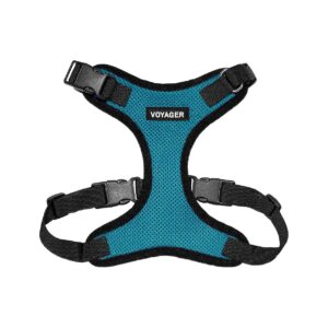 All-Season Adjustable Dog Harness with Turquoise/Black Trim for Small to Medium Breeds