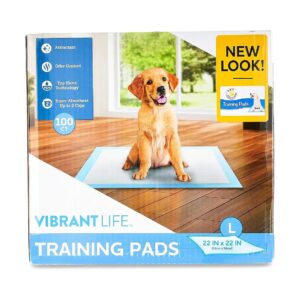 All Star Pet Training Pads with 100 Count