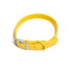 All Weather Dog Collar with Coated Nylon Strap and Durable Metal Construction