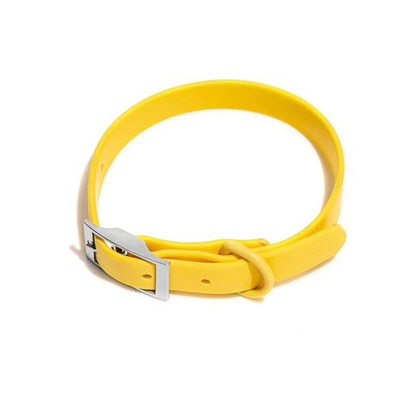 All Weather Dog Collar with Coated Nylon Strap and Durable Metal Construction