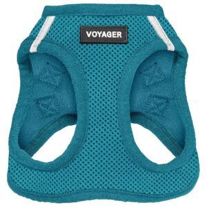 All Weather Turquoise Mesh Harness for Small to Medium Dogs with Easy Step-in Design