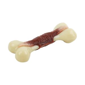 All for Paws Nylon Bone Chew Toy for Aggressive Chewers