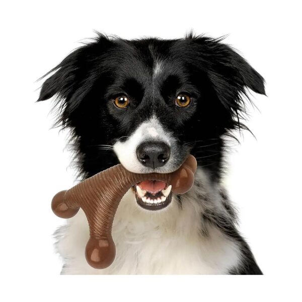 Almost Indestructible Nylon Bone Dog Toys for Aggressive Chewers with Real Beef Flavor