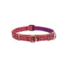 Alpen Glow Inspired Martingale Collar for Dogs with Stylish Design