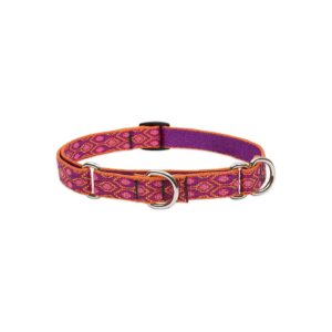 Alpen Glow Inspired Martingale Collar for Dogs with Stylish Design