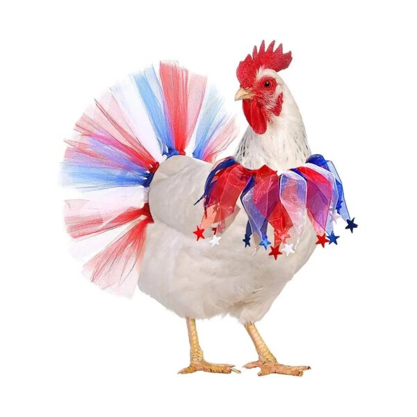 American Flag Chicken Tutu Skirt and Patriotic Collar Costume for Hens