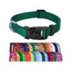 American Made Deluxe Nylon Dog Collar with Buckle 1 Inch Wide Large Green