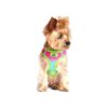 American River Ombre Rainbow Pattern Reflective Dog Harness with Medium Size