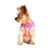 American River Ombre Raspberry Pink XS Dog Harness with Patented Choke Free Design