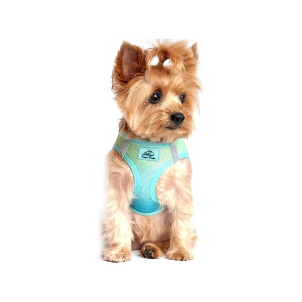 American River Ombre Reflective Dog Harness Small Aruba Blue