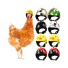 Animal Safety Helmet Hat for Chicken Bird Parrot Parakeet Small Pet Wear