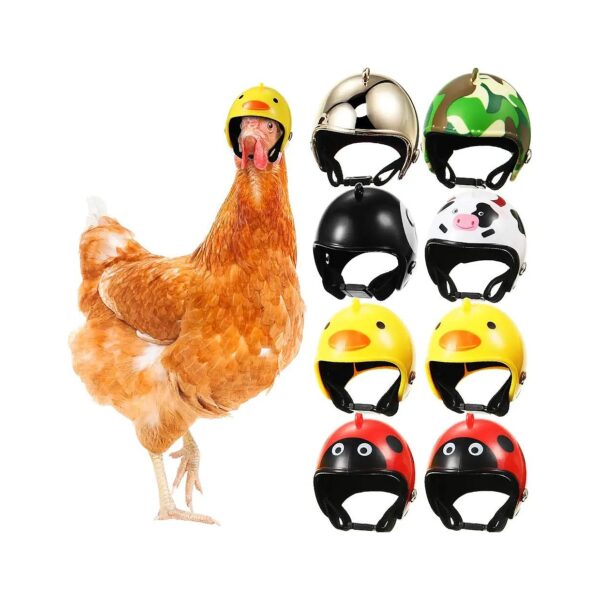 Animal Safety Helmet Hat for Chicken Bird Parrot Parakeet Small Pet Wear