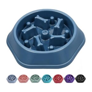 Anti-Chocking Slow Feeding Dog Food Bowl with Bone Pattern Design for Small Medium Dogs