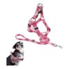 Anti-Choke Dog Halter Harness and Leash Perfect for Walking