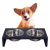 Anti Slip Foot Elevated Feeder with 2 Stainless Steel Dog Bowls for Multiple Pets