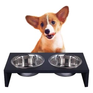 Anti Slip Foot Elevated Feeder with 2 Stainless Steel Dog Bowls for Multiple Pets