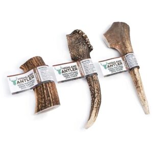 Antler Stick, Large and Extra Large for Pet Use