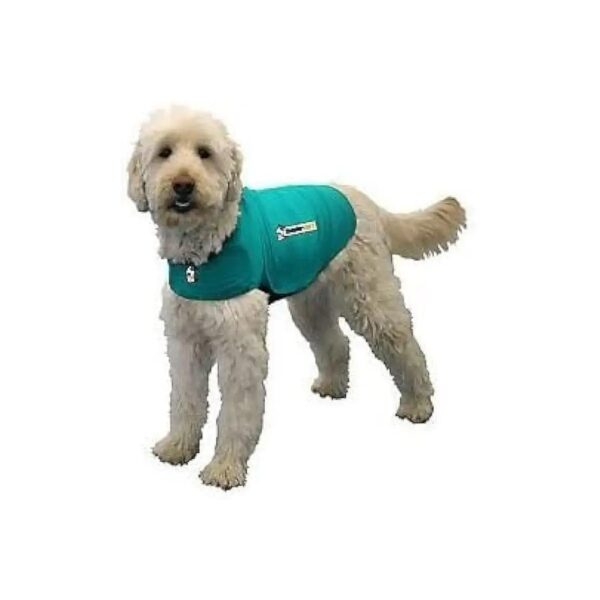 Anxiety-Calming Dog Jacket for XX-Large Dogs Kelly Green Classic Design