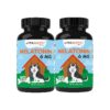 Anxiety Relief Dogs Melatonin 6mg Chewable Tablets Beef Flavor USA Made