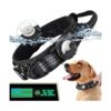 Apple AirTag Compatible Dog Collar with Waterproof Holder and Durable 1000D Nylon