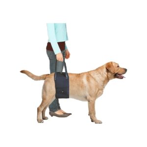 Approved Dog Lift Harness for Medium Dogs with Adjustable Handles and Comfort