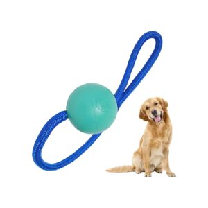 Aqua Size Large Rubber Dog Ball for Dog Training and Play