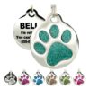 Aquamarine Enameled Stainless Steel Pet Tag for Dogs and Cats with Round Paw Print