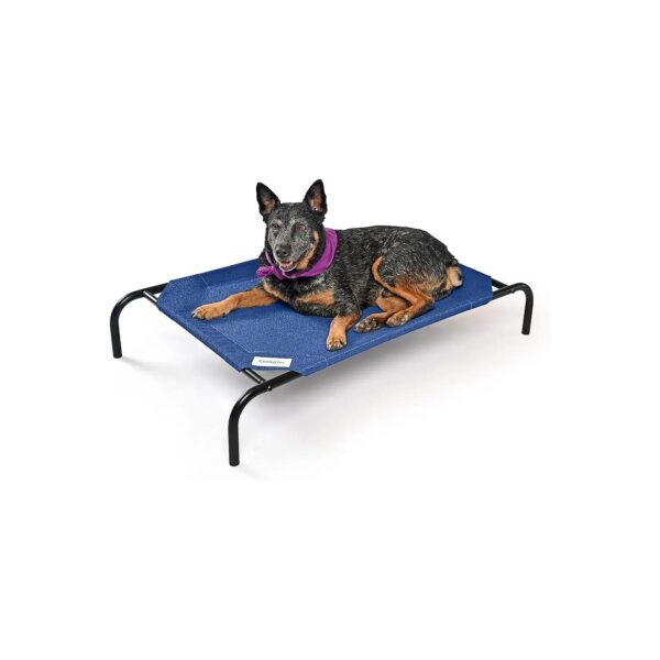 Aquatic Blue Cooling Elevated Dog Bed for Medium Sized Breeds