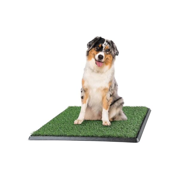 Artificial Grass Dog Training Potty Pad for Small Pets with Secure Tray