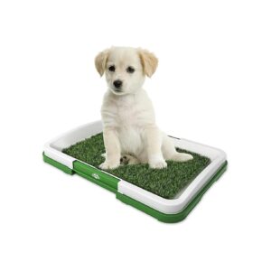 Artificial Grass Pee Pad Set for Potty Training Small Dogs Indoors and Outdoors