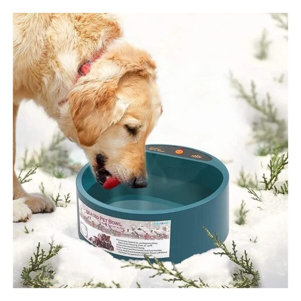 Atmospheric Outdoor Heated Water Bowl Provides Fresh Drinking Water for Pets in Winter