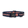 Auburndogs Officially Licensed Collars Medium Adjustable Fits All Pets Blue Stripes