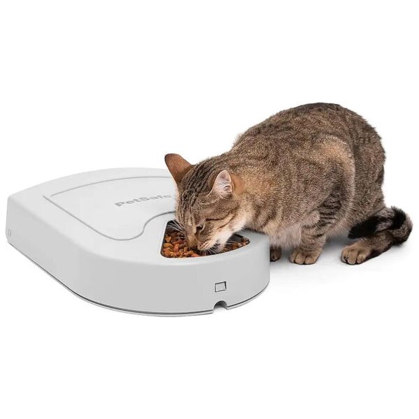 Automatic Dog Feeder for Dry Food and Multiple Pets