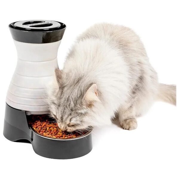 Automatic Pet Feeder for Cats and Small Dogs with Removable Stainless Steel Bowl